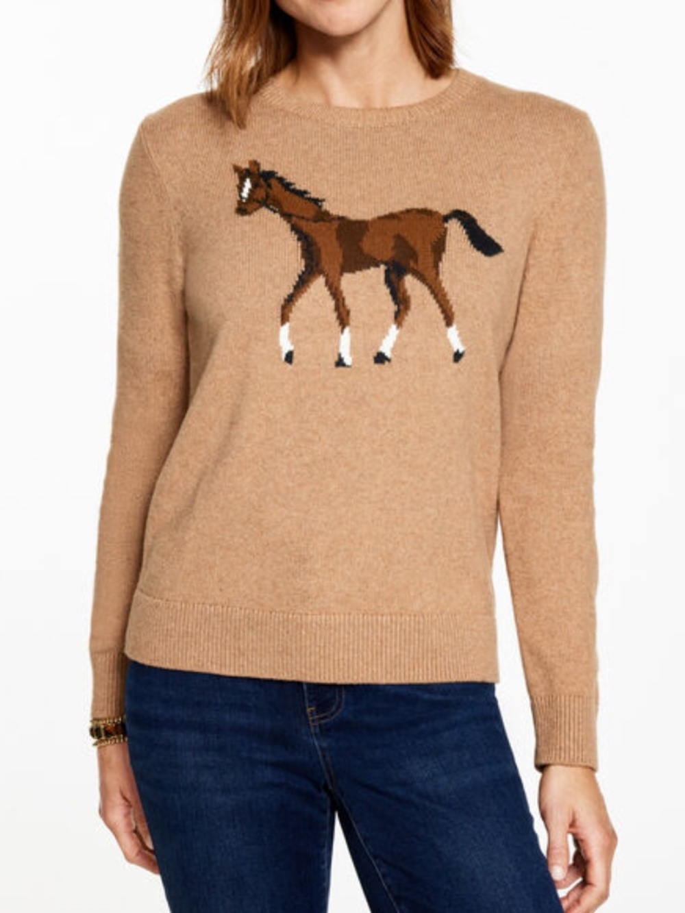 Talbots CREWNECK PULLOVER - WHIMSY HORSE - size Large P - NWT